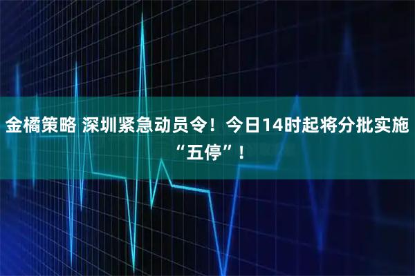 金橘策略 深圳紧急动员令！今日14时起将分批实施“五停”！